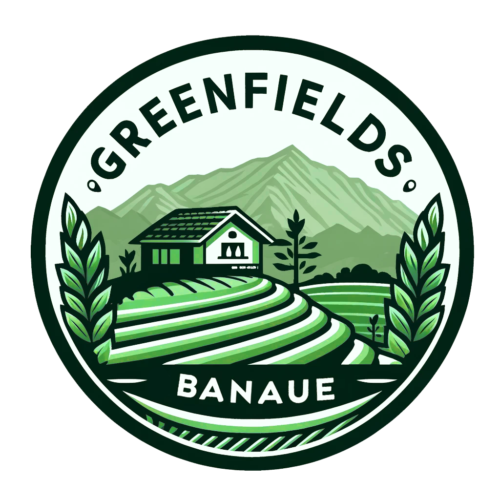 Banaue Greenfields In